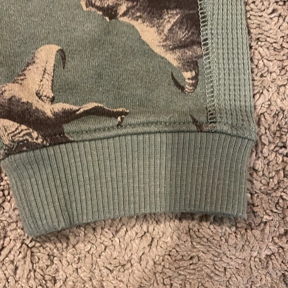 Dinosaur sweatpants and hoodie - Picture 4 of 8